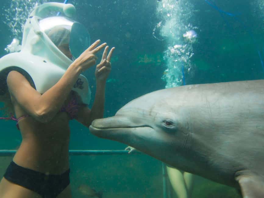 From Playa del Carmen: Xel-Há All-Inclusive Park - Unlimited snorkeling in the cove: the main attraction that actually delivers