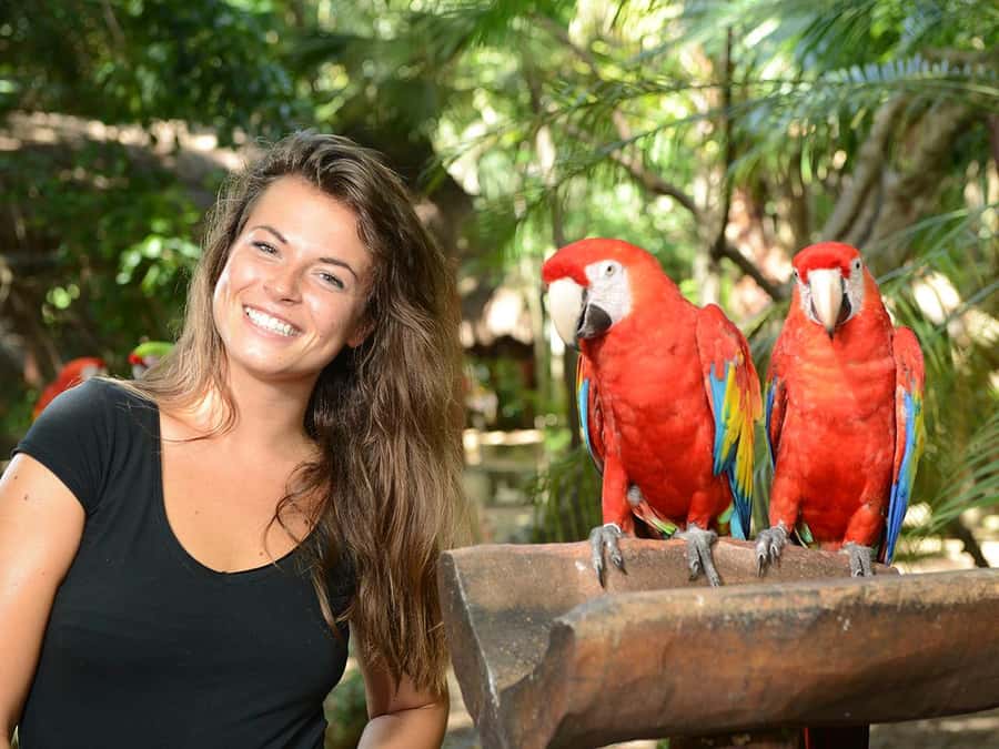 From Riviera Maya: Complete Combo to Xcaret Park! - Xcaret in the Riviera Maya: What Makes This Park Different