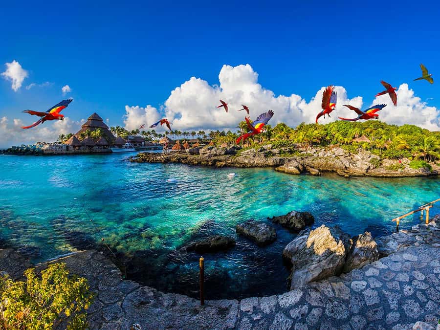From Riviera Maya: Complete Combo to Xcaret Park! - 50+ Attractions Means You Need a Simple Game Plan