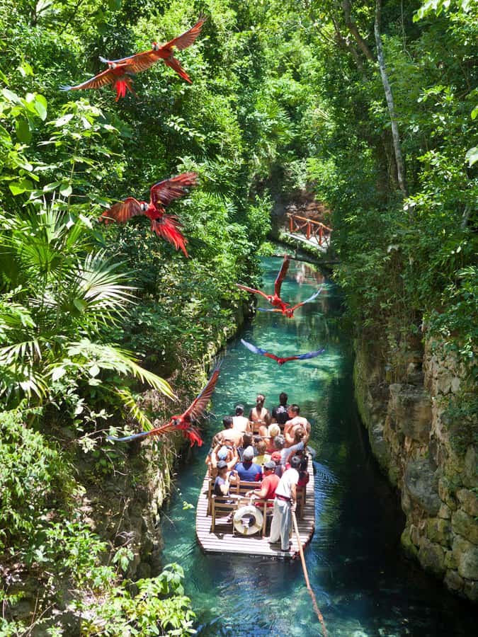From Riviera Maya: Complete Combo to Xcaret Park! - Your Day Plan: How the 13.5 Hours Typically Feel