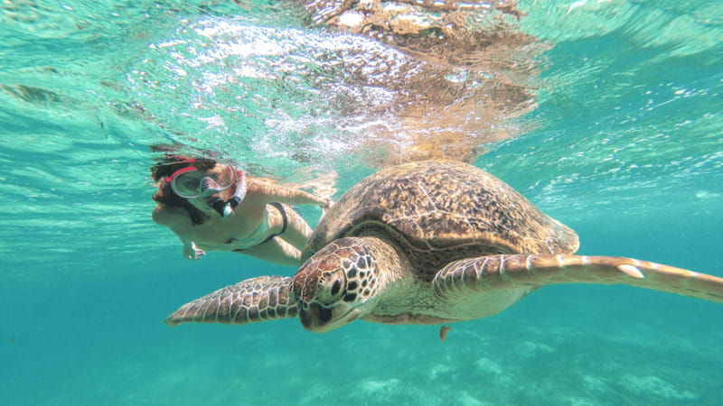 From Tulum: Tulum, Cenote and Turtle Swim Tour at Akumal - Morning logistics: pickup, the bus ride, and when to be ready