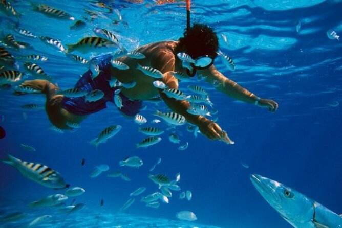Full-Day Catamaran Cozumel Tour with Sky Snorkeling - Key highlights worth knowing before you go