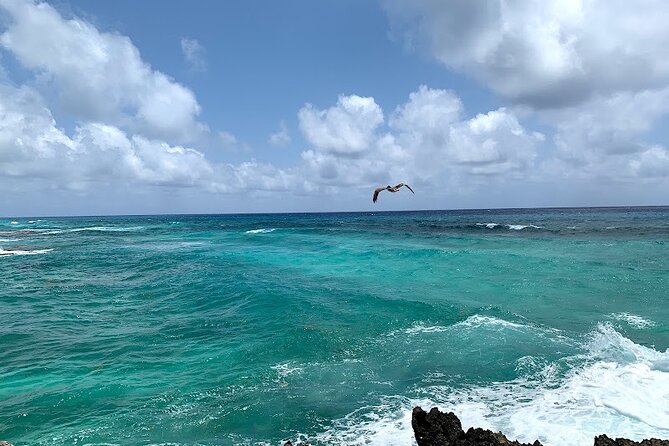 Full-Day Catamaran Cozumel Tour with Sky Snorkeling - Stop 1: Palancar Reefs snorkeling for coral and color
