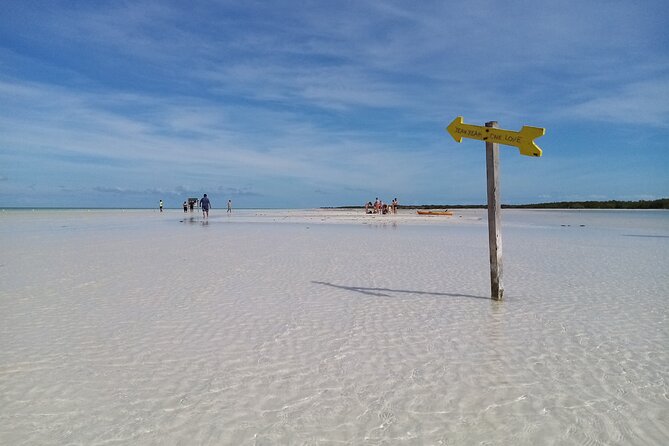 Full Day Excursion to the Best of Holbox From Riviera Maya - Isla de la Pasión bird watching: short stop, strong focus