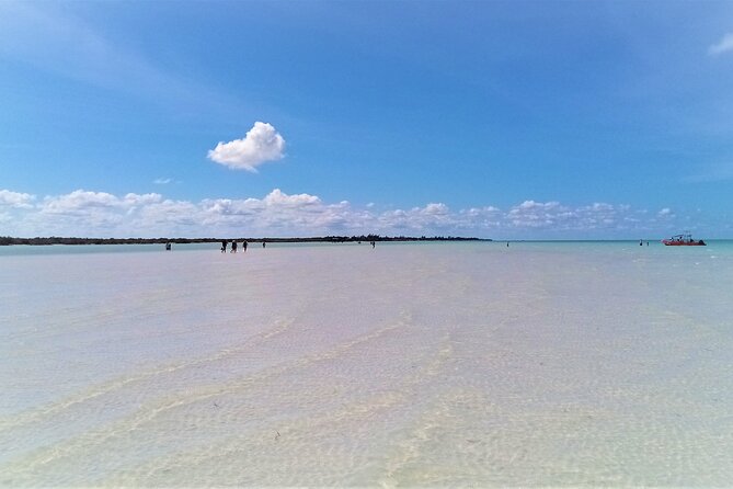 Full Day Excursion to the Best of Holbox From Riviera Maya - Punta Mosquito swim and eat time: when the water part hits