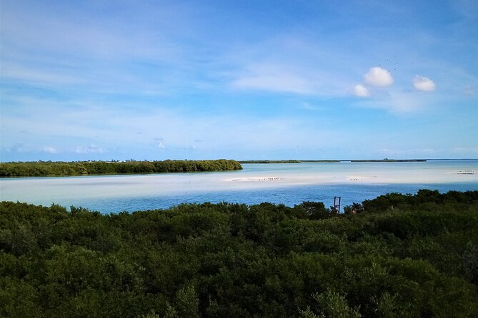 Full Day Excursion to the Best of Holbox From Riviera Maya - Yalahau Lagoon and Ojo de Agua: your swimming finish line