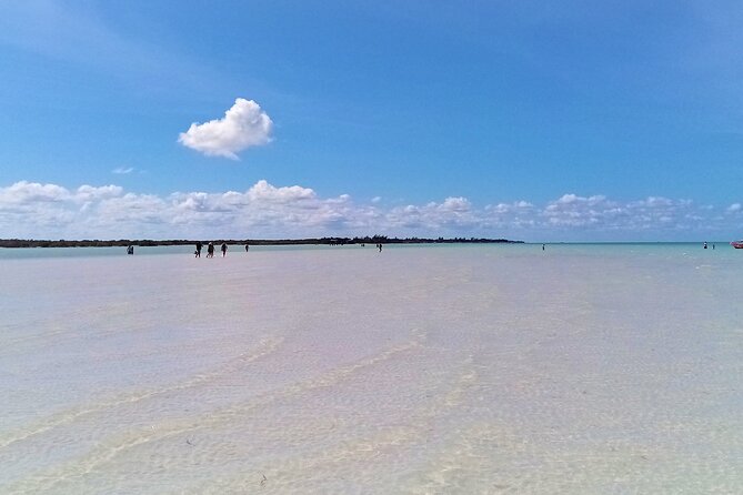 Full Day Excursion to the Best of Holbox From Riviera Maya - Lunch, drinks, and the included picnic-style meal