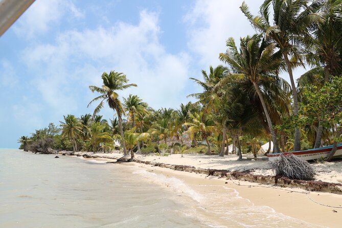 Full Day Guided Tour to Sian Ka'an (short way) - Snorkeling in a natural pool: the centerpiece you’ll plan around