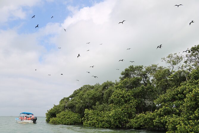 Full Day Guided Tour to Sian Ka'an (short way) - Lunch in a fishing village: a real break, not just a stop