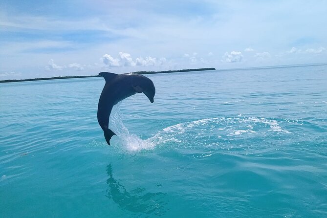 Full Day Guided Tour to Sian Ka'an (short way) - Group size and the guide dynamic: better chances for real questions