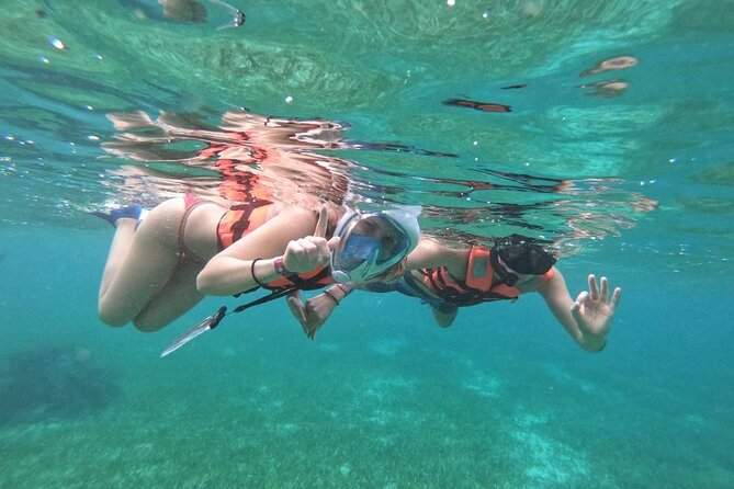 Full Day Guided Tour to Sian Ka'an (short way) - What you’re paying for: the $235 price in plain terms