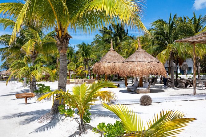 Full-Day Holbox Island Boat and Buggy Tour with Lunch - Eco Resort Lunch and Loungers: The Reset Button