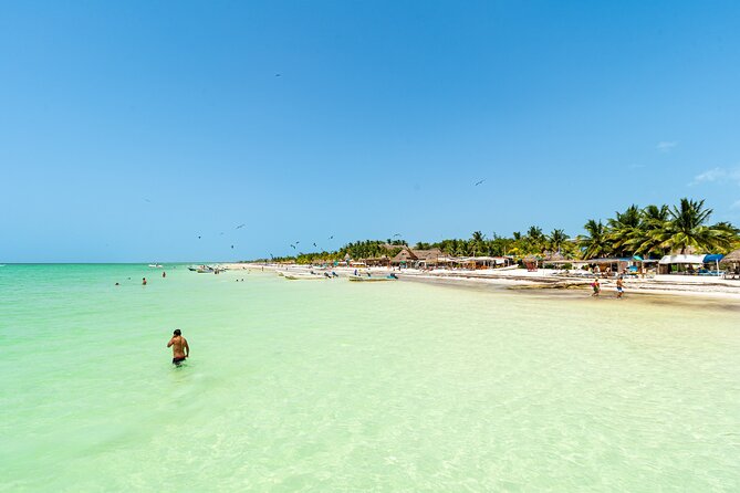 Full Day Holbox Island Tour from Playa del Carmen with Lunch - Holbox in one day: what you’re really buying