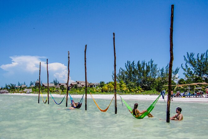 Full Day Holbox Island Tour from Playa del Carmen with Lunch - Isla de la Pasion: birds and a viewpoint moment