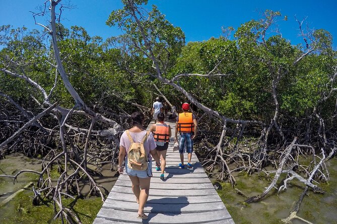 Full Day Holbox Island Tour from Playa del Carmen with Lunch - Price and logistics: what makes the total cost add up