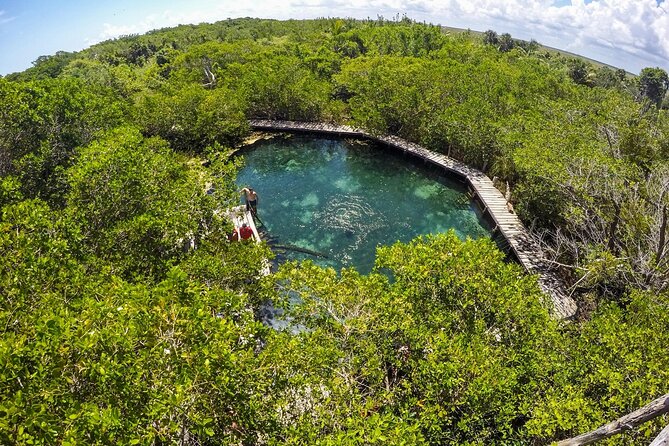 Full Day Holbox Island Tour from Playa del Carmen with Lunch - What’s included (and what to double-check)