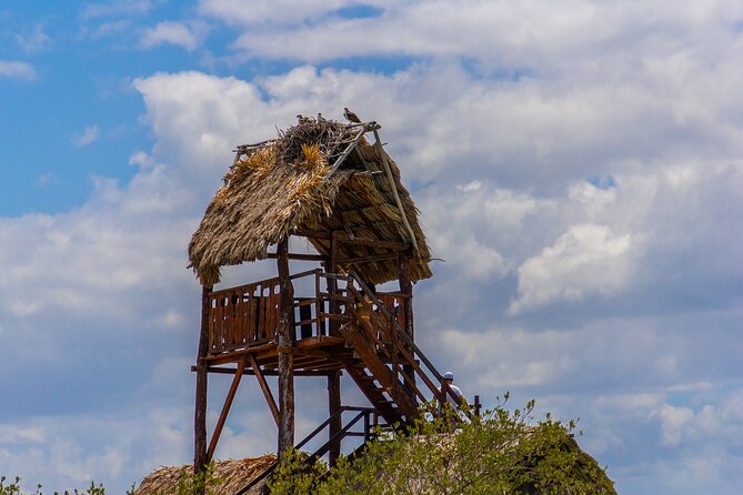 Full Day Holbox Island Tour from Playa del Carmen with Lunch - Guide quality and group size: why it matters on a long day