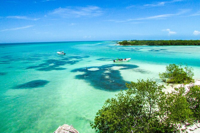 Full Day Holbox Island Tour from Playa del Carmen with Lunch - Getting there from Playa del Carmen: pickup and time commitment