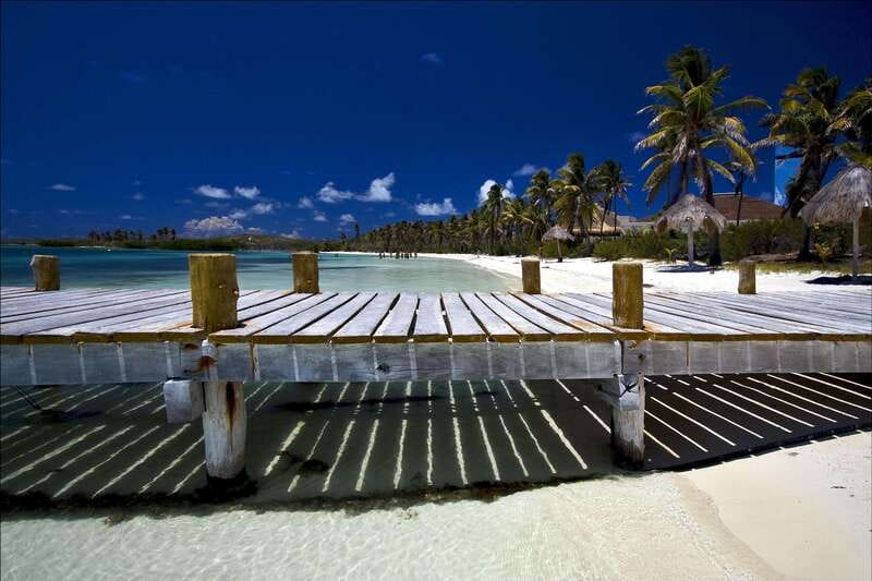 Full Day Nature Expedition to Contoy Island and Isla Mujeres - A day that mixes protected nature with island wandering