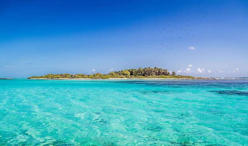 Full Day Nature Expedition to Contoy Island and Isla Mujeres - Boat rides back and the road home