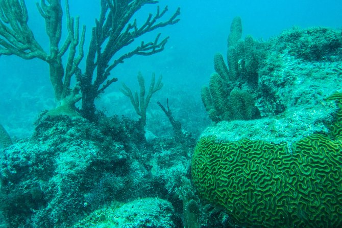 Full-Day Sailing Trip to Mujeres Island from Playa del Carmen - The full-day rhythm: getting from Playa del Carmen to Isla Mujeres