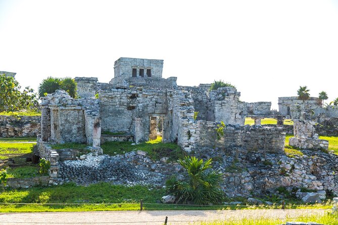 Full Day: Tulum Ruins with Cenote Cave and Swimming with Turtles - Cenote Nohoch: the jungle swim stop that resets your energy