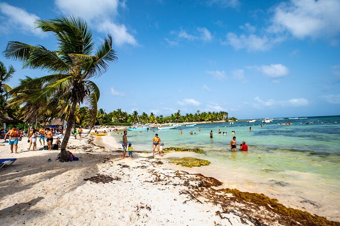 Half-day Tour Sea Turtles Encounter in Akumal Bay - Equipment and What’s Included (So You Don’t Pay Twice)