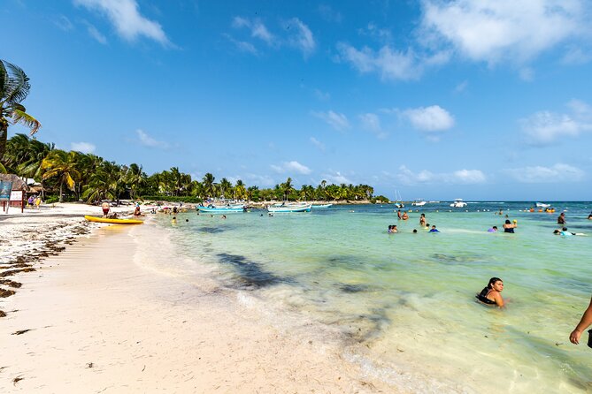 Half Day Tour: Turtles Encounter in Akumal Beach - Who should book this Akumal turtle encounter