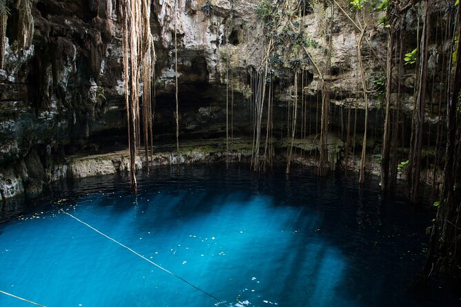 Half-Day Yucatan's Instagram Cenotes PRIVATE TOUR - Key highlights worth planning around