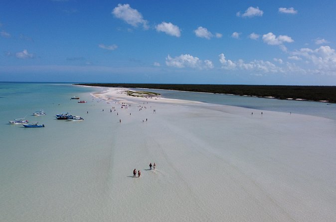 Holbox island: Boat tour & golf cart ride, Lunch and open bar - The Holbox hotel break: pool, beach time, buffet lunch, and drinks