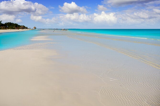 Holbox island: Boat tour & golf cart ride, Lunch and open bar - Golf cart ride around Holbox: fun, sandy roads, and weather reality