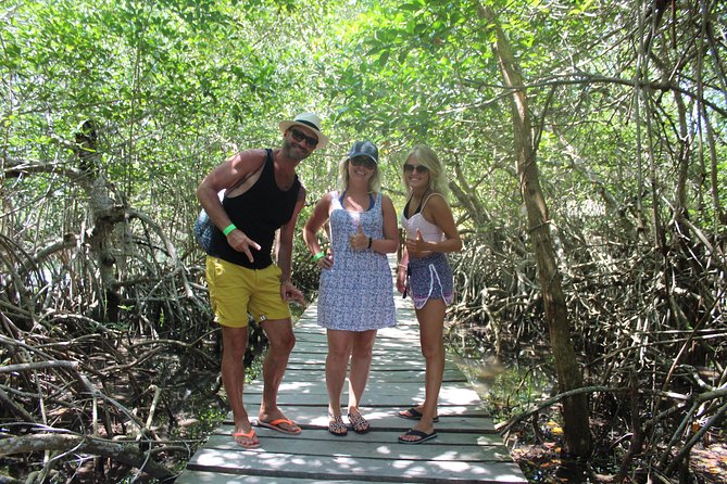 Holbox Island from Playa del Carmen - Isla Holbox: your main block of island time