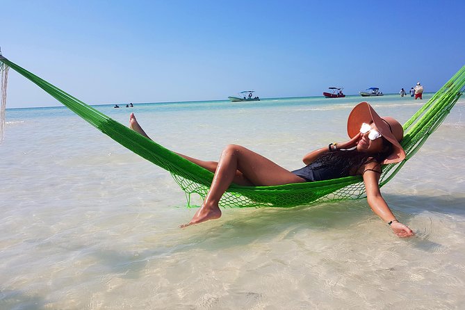 Holbox Island from Playa del Carmen - Language and guide experience: what you should confirm