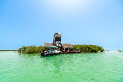 Holbox Island Tour in Mexico with Lunch - Price and value: what the $110 really buys (and what costs extra)