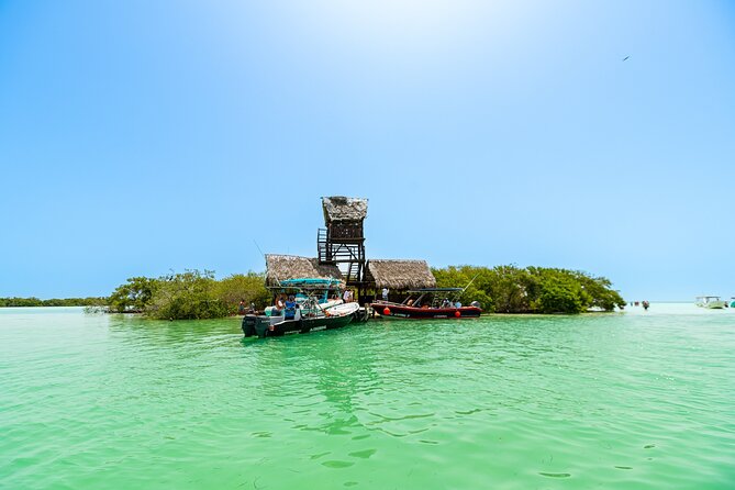 Holbox Island Tour in Mexico with Lunch - Price and value: what the $110 really buys (and what costs extra)