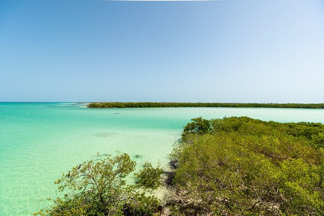 Holbox Island Tour with Pasion Island and Punta Mosquito - Stop 1: Isla de la Pasion for views and seasonal birdlife