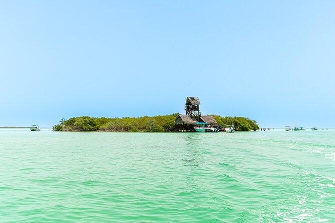 Holbox Island Tour with Pasion Island and Punta Mosquito - Stop 2: Punta Mosquito for a calm nature break