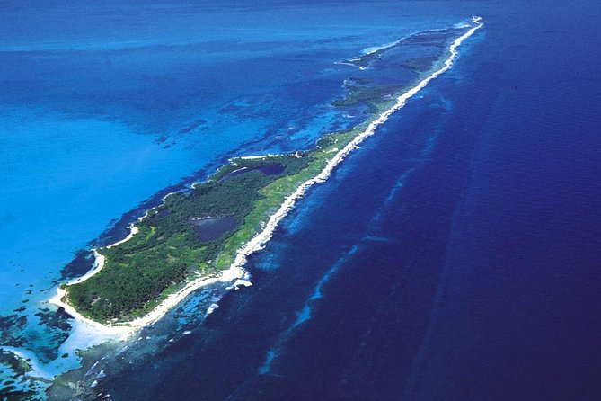Isla Contoy Adventure Tour & Isla Mujeres from Playa del Carmen - Isla Contoy: a bird sanctuary with only 200 daily visitors