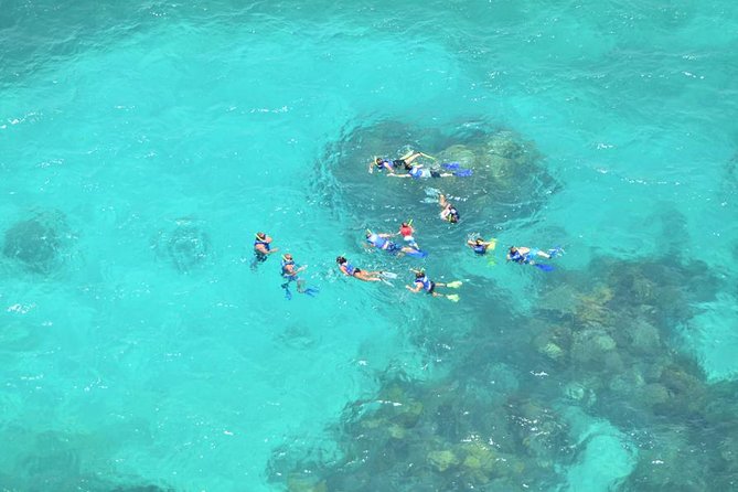 Isla Contoy Adventure Tour & Isla Mujeres from Playa del Carmen - The lunch and open bar combo that actually helps on a long day
