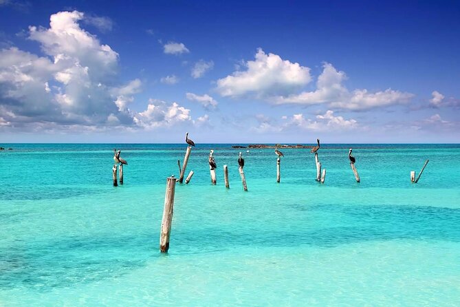 Isla Contoy Adventure Tour & Isla Mujeres from Playa del Carmen - Guides, group size, and how the day stays organized