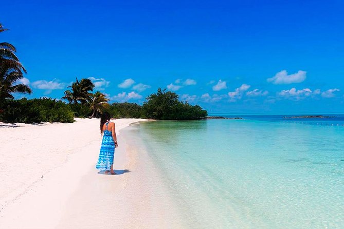 Isla Contoy Adventure Tour & Isla Mujeres from Playa del Carmen - Punta Sam pickup and the morning handoff from Playa del Carmen