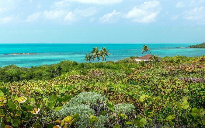 Isla Contoy Hidden Beauty! Transportation from Riviera Maya - Key points before you go
