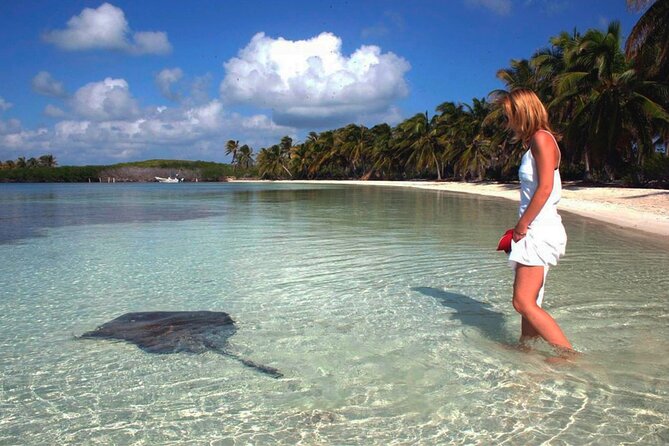 Isla Contoy Hidden Beauty! Transportation from Riviera Maya - Isla Mujeres stop: 1 hour to browse, snack, and wander