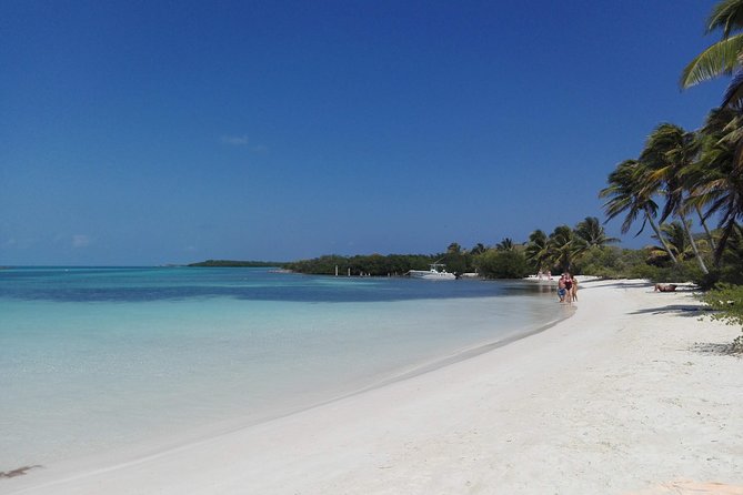 Isla Contoy & Isla Mujeres (from Playa del Carmen) - Isla Contoy and Isla Mujeres in one day: why this combo works