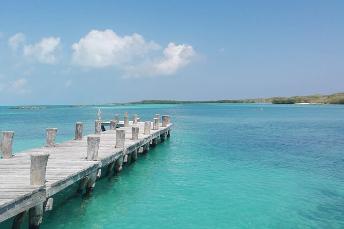 Isla Contoy & Isla Mujeres (from Playa del Carmen) - How the day feels: guided structure versus free-time expectations