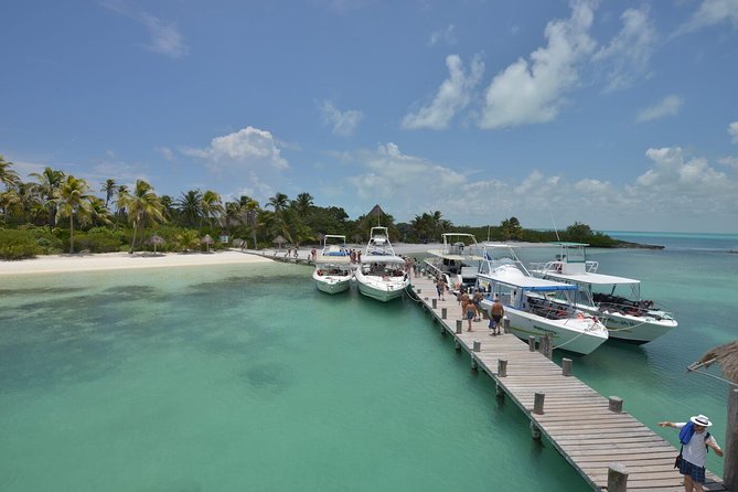 Isla Contoy & Isla Mujeres (from Playa del Carmen) - Stop 1: Isla Contoy National Park—guided snorkel and beach time