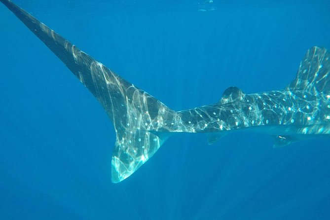 Isla Mujeres Deluxe (boat, Snorkeling, Free Time At Isla Mujeres Downtown-food) - Women Island’s north side: why this route is the point