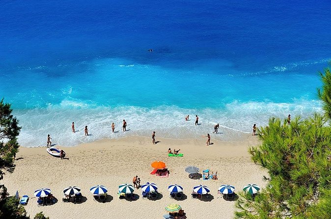 Isla Mujeres Deluxe (boat, Snorkeling, Free Time At Isla Mujeres Downtown-food) - Cat shark swimming: the wow moment and the reality check