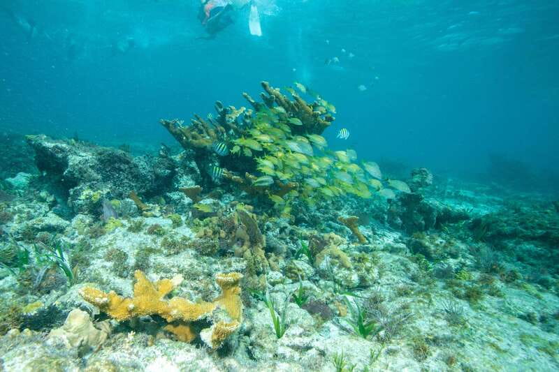 Isla Mujeres: Full Day Private Catamaran with Snorkeling - A private 36-ft catamaran day: what the boat is really like