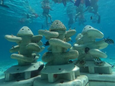 Isla Mujeres: Full Day Private Catamaran with Snorkeling - Choosing your departure time (08:00–12:00) and shaping your day
